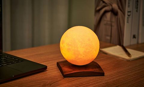 1 Gingko - Walnut - Mini Smart Luna Spin LED Lamp