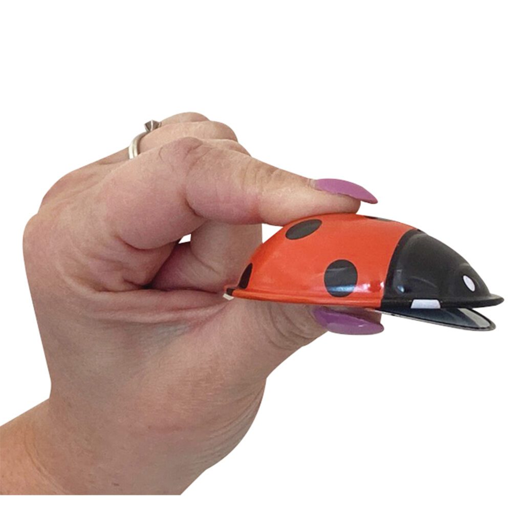 Click Clack Ladybird Tin Toy
