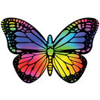 Scratch Art Set - Butterflies