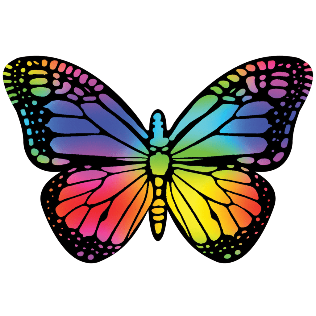 Scratch Art Set - Butterflies
