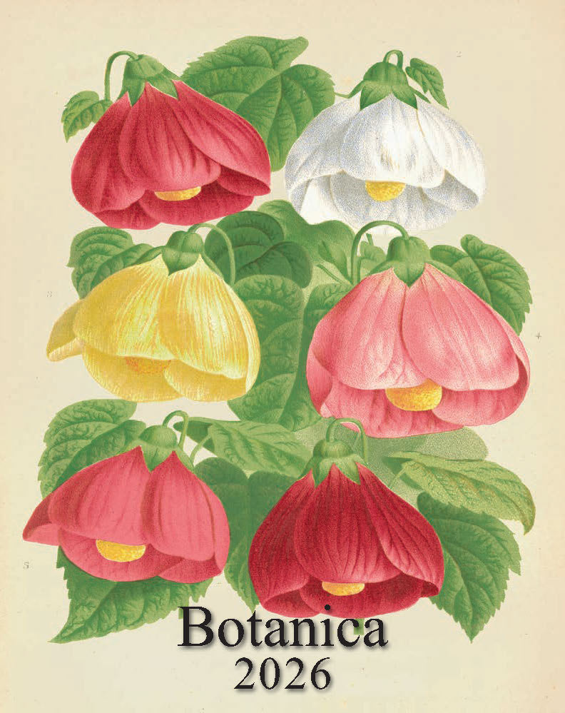 Desk Calendar - Botanica (IFI)