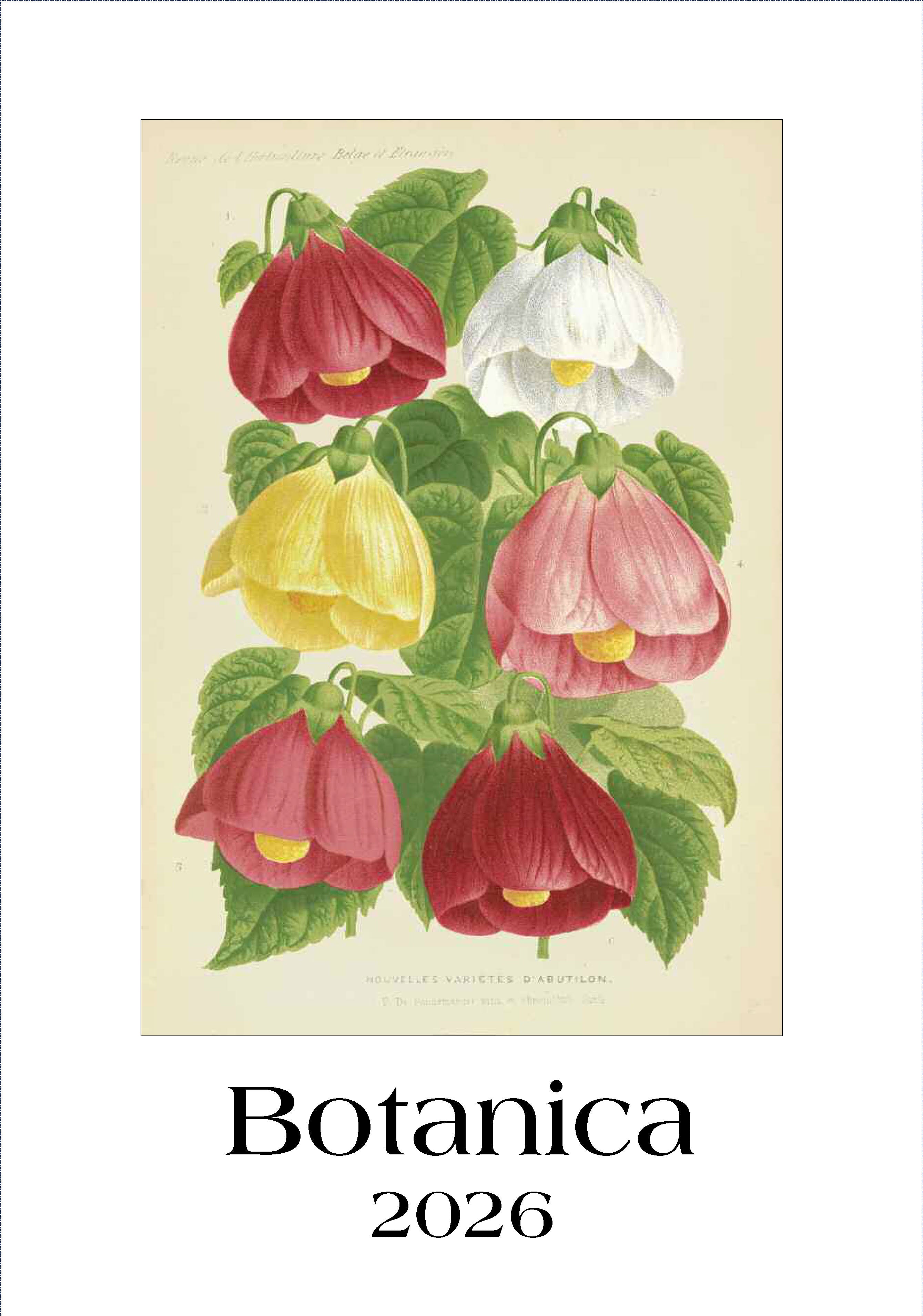 Wall Calendar - Botanica (IFI)