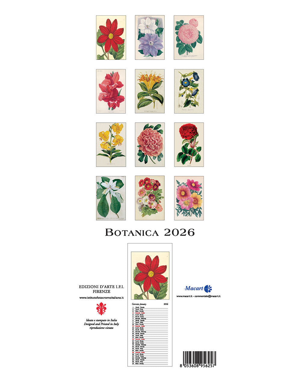 Slimline Wall - Botanica