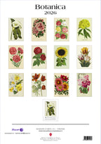 Wall Calendar - Botanica (IFI)