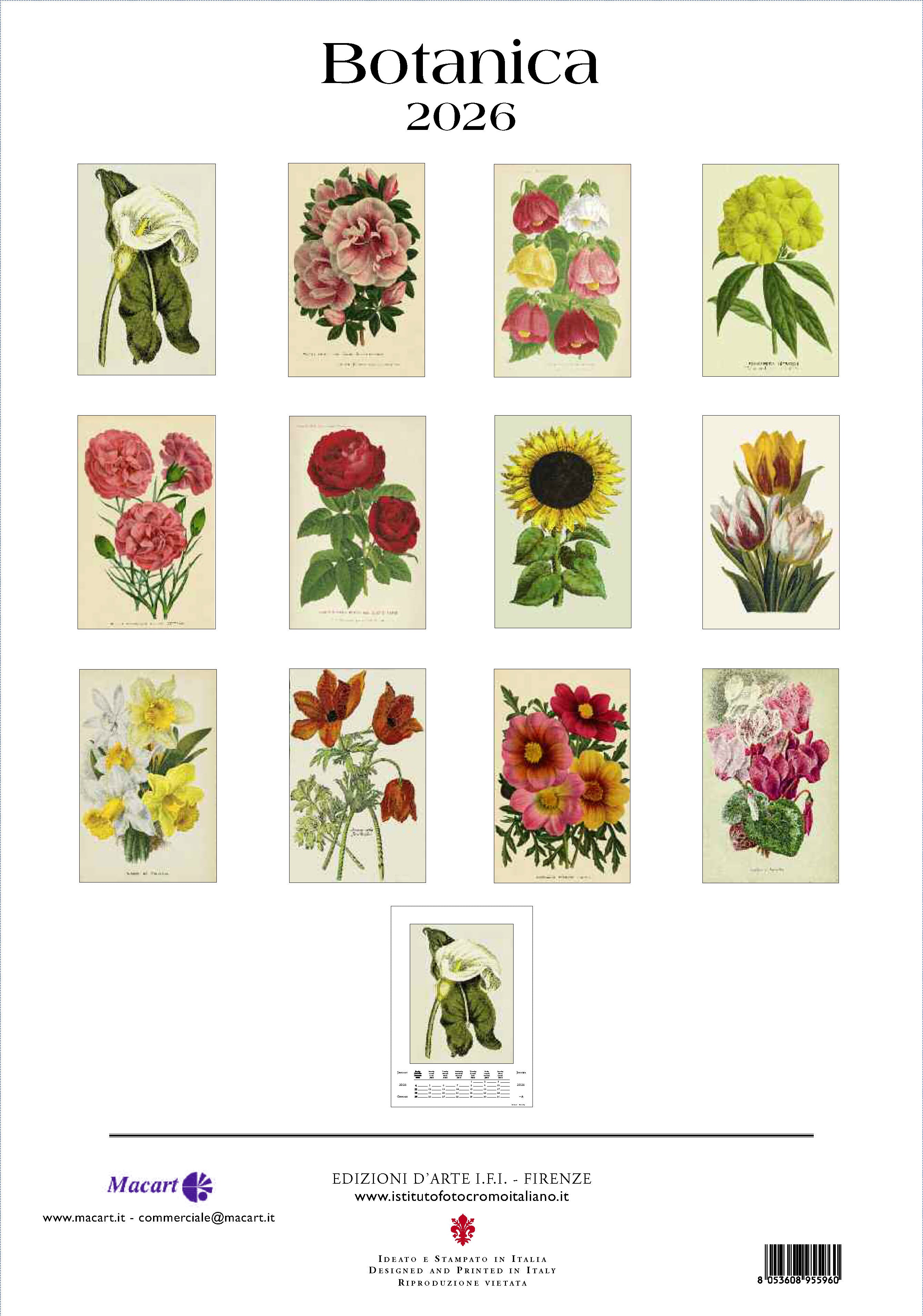 Wall Calendar - Botanica (IFI)