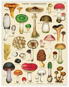 Jigsaw Puzzle - Mushrooms