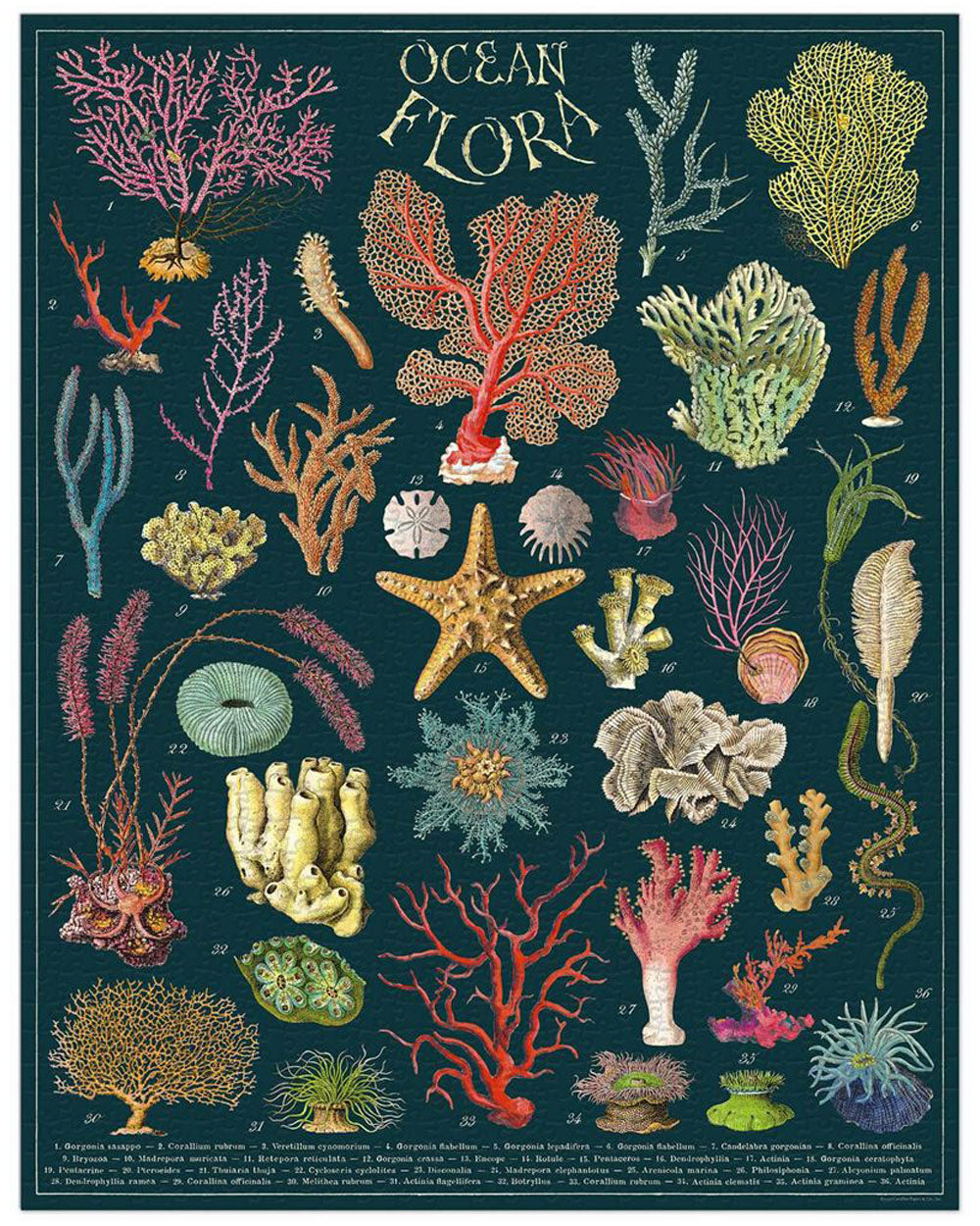 Jigsaw Puzzle - Ocean Flora