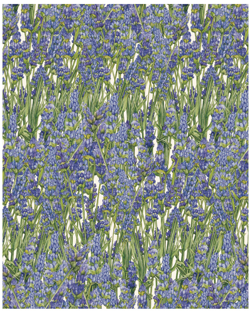 Wrap - Lavender