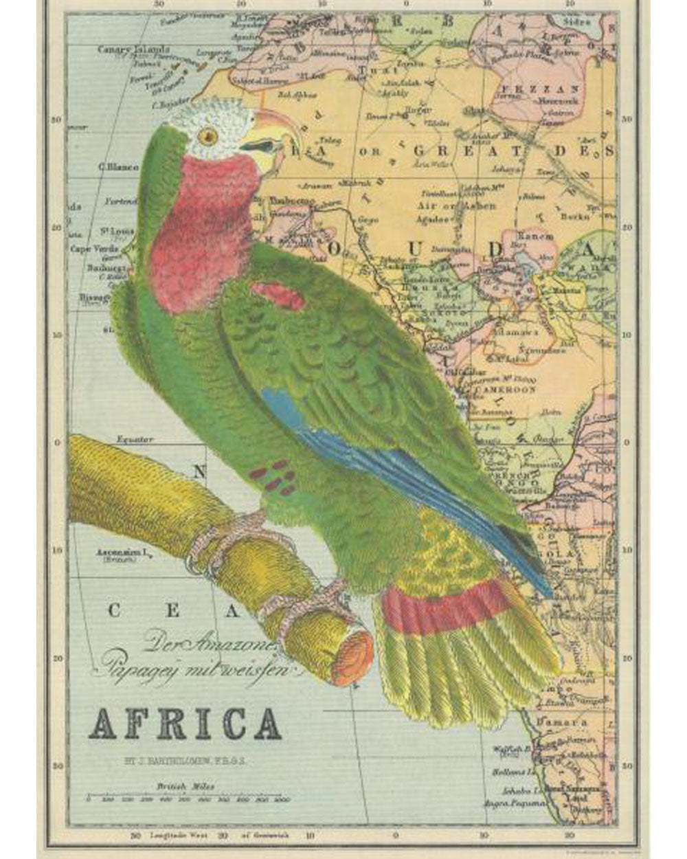 Wrap - Map - Africa