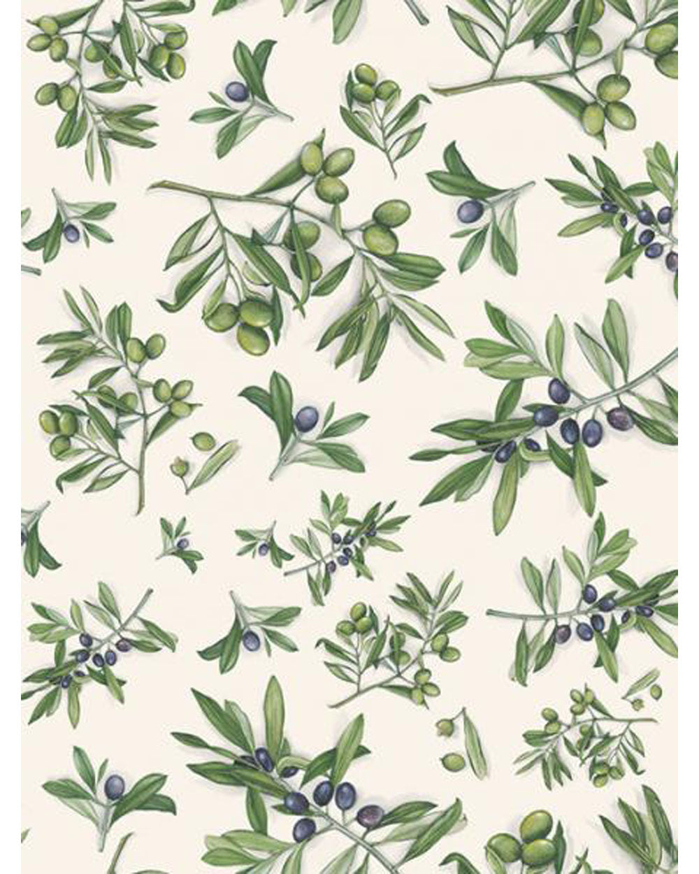 Wrap - Olives