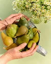 Pear | Beeswax Candle