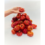Heirloom Tomato | Beeswax Candle - Large - Red