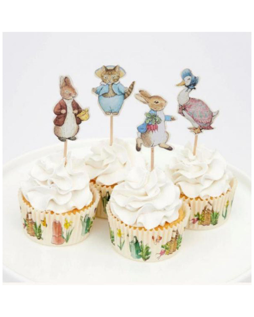 Peter Rabbit Party Picks (pack of 12)