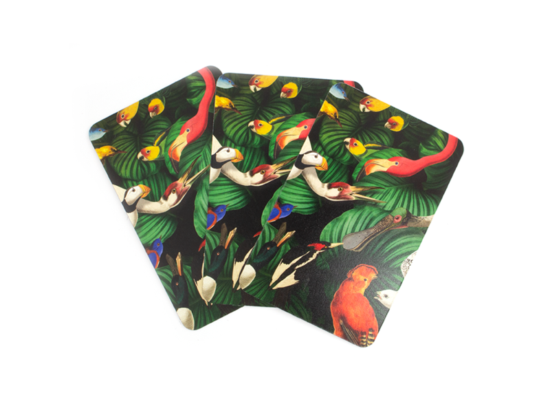 Playing Cards - Teylers Museum, Bird Life