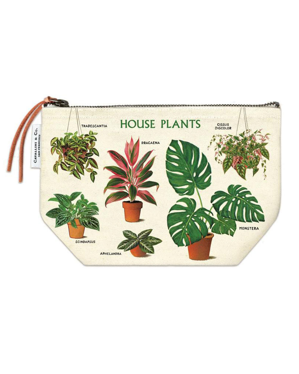 Pouch - House Plants