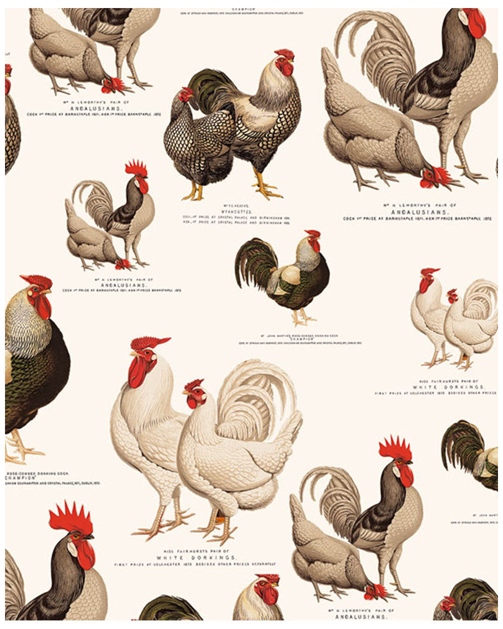 Wrap - Roosters