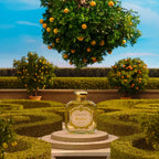 Bizzaria - Eau de Parfum - 50 ml