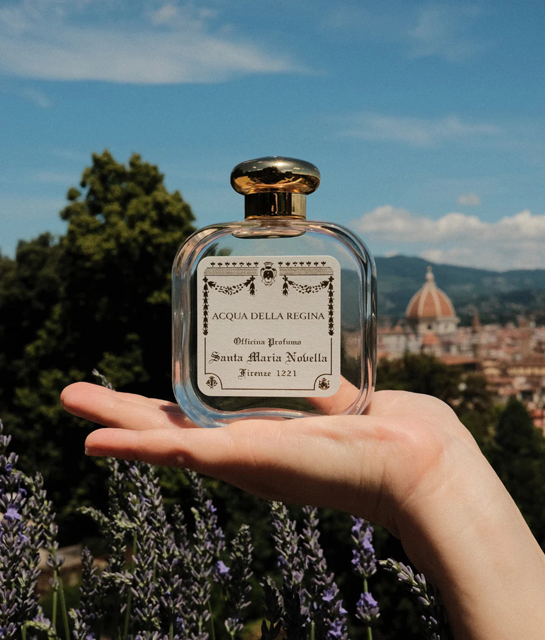 SMN - Acqua della Regina