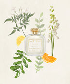 SMN - Acqua di Colonia Mughetto (Lily of the Valley)