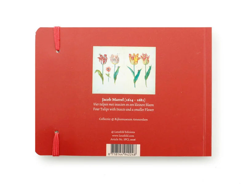Small Sketch Book - Marrel, Four Tulips w Insects
