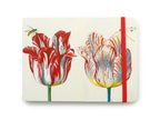 Small Sketch Book - Marrel, Four Tulips w Insects