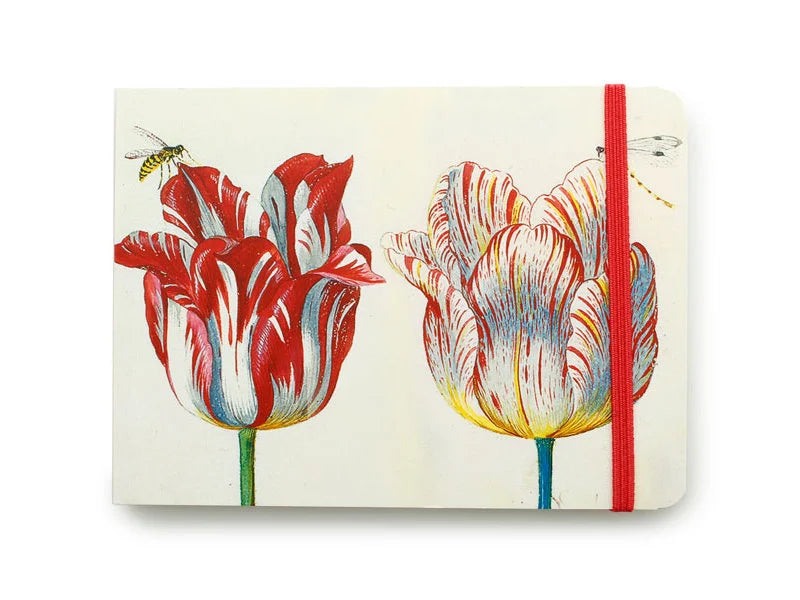 Small Sketch Book - Marrel, Four Tulips w Insects