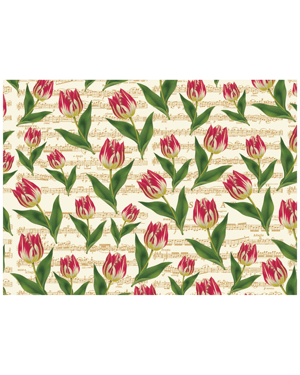 Wrap - Tulips w Gold Music