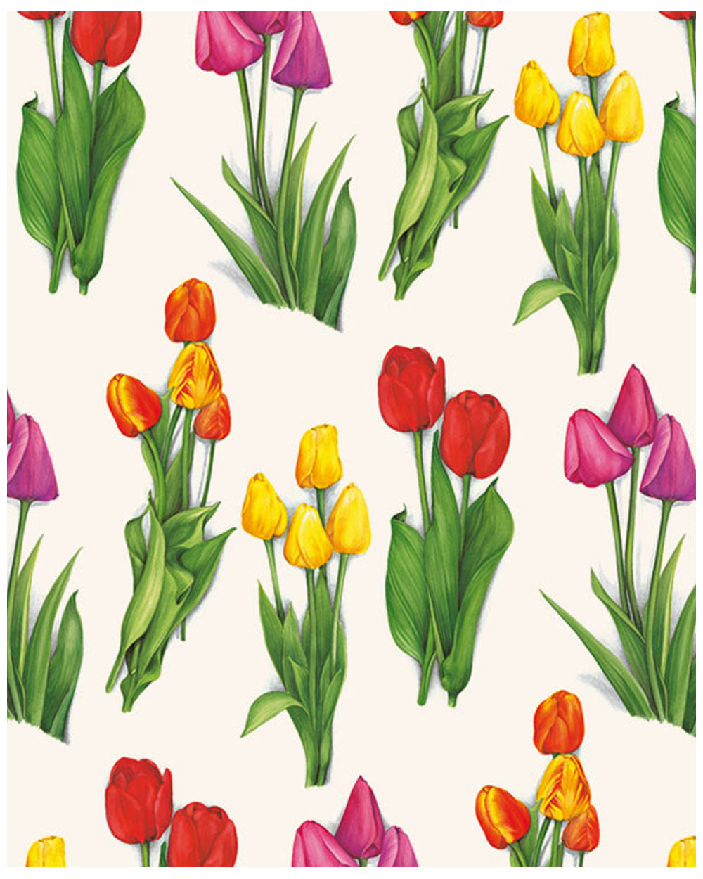 Wrap - Tulips (T)
