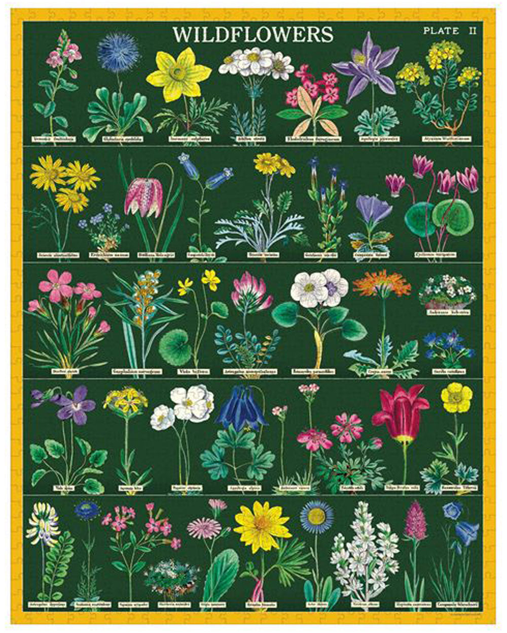 Jigsaw Puzzles - Wildflowers 2