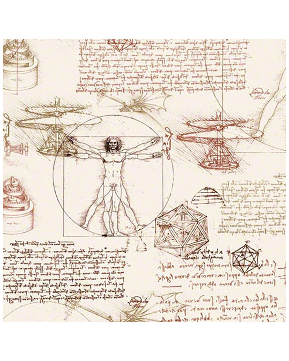 Wrap - Leonardo
