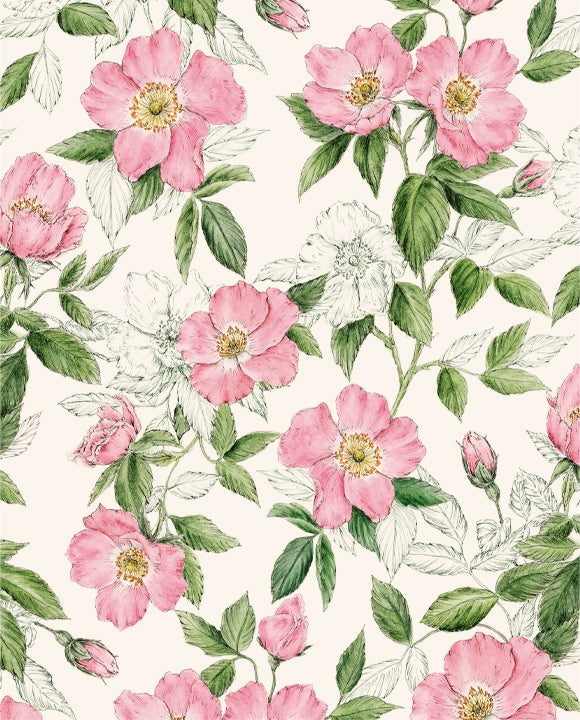Wrap - Rosa Canina