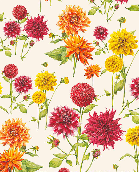 Wrap - Dahlias