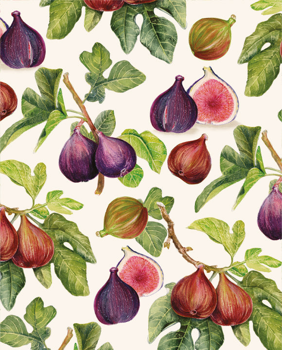 Wrap - Figs