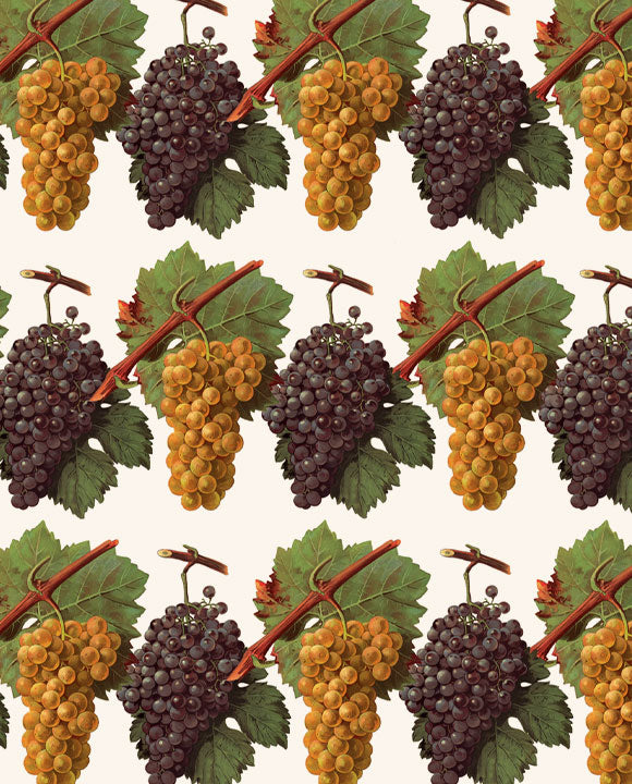 Wrap - Grapes