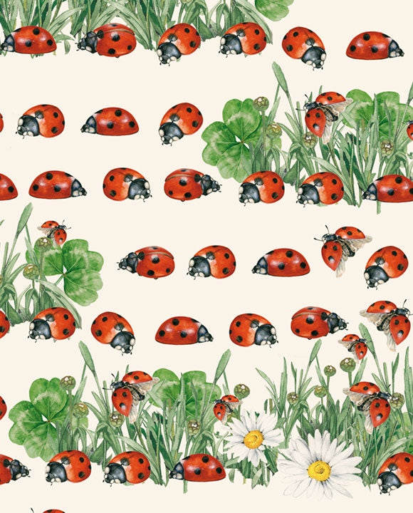 Wrap - Ladybirds