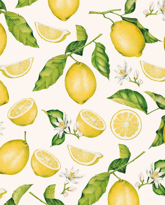 Wrap - Lemons