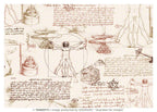 Wrap - Leonardo