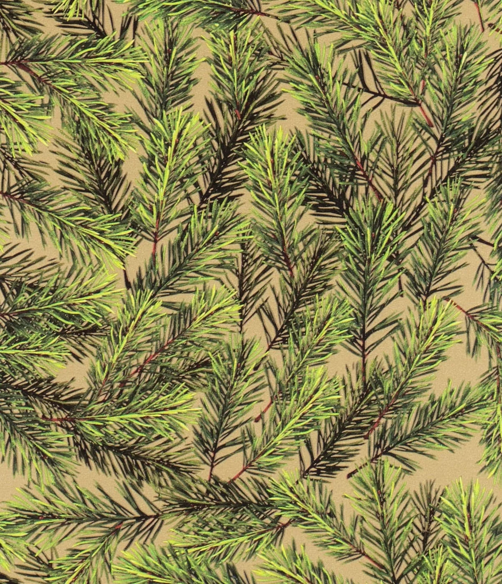 Christmas Wrap - Pine Needles with Gold - 50 cm wide x 3 m length