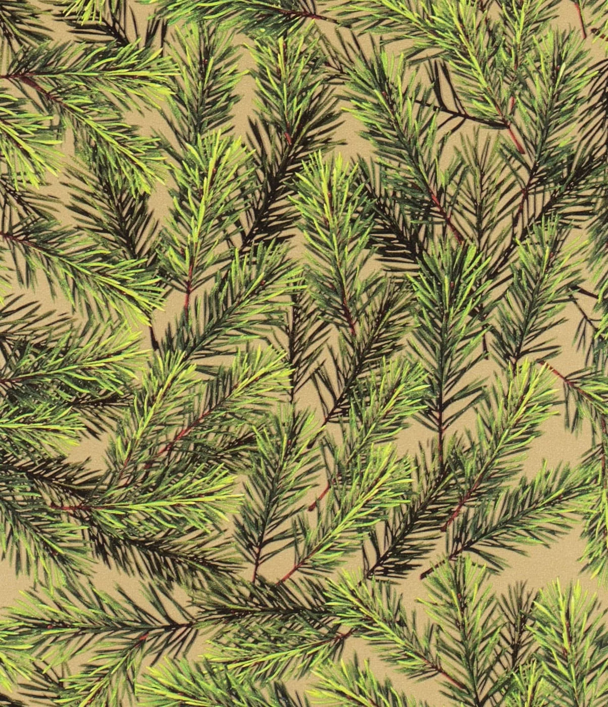 Christmas Wrap - Pine Needles with Gold - 50 cm wide x 3 m length