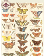 Pouch - Butterflies