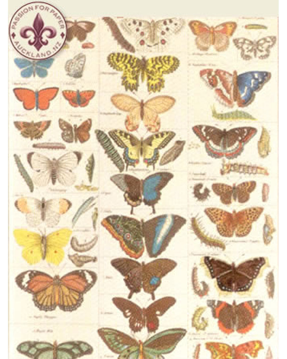 Pouch - Butterflies