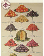 Tea Towel - Fruit