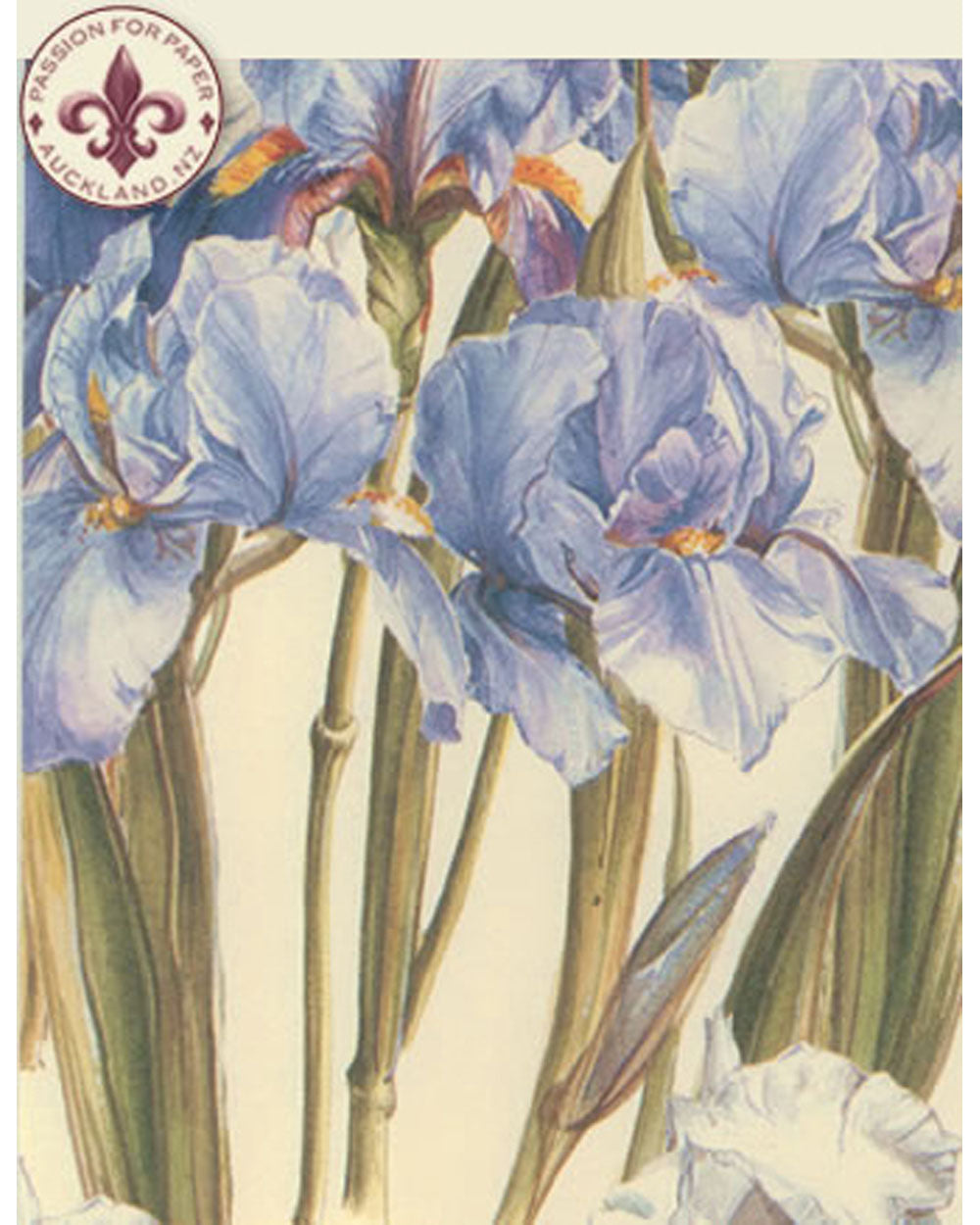 L'Iris - Eau de Parfum - 100 ml