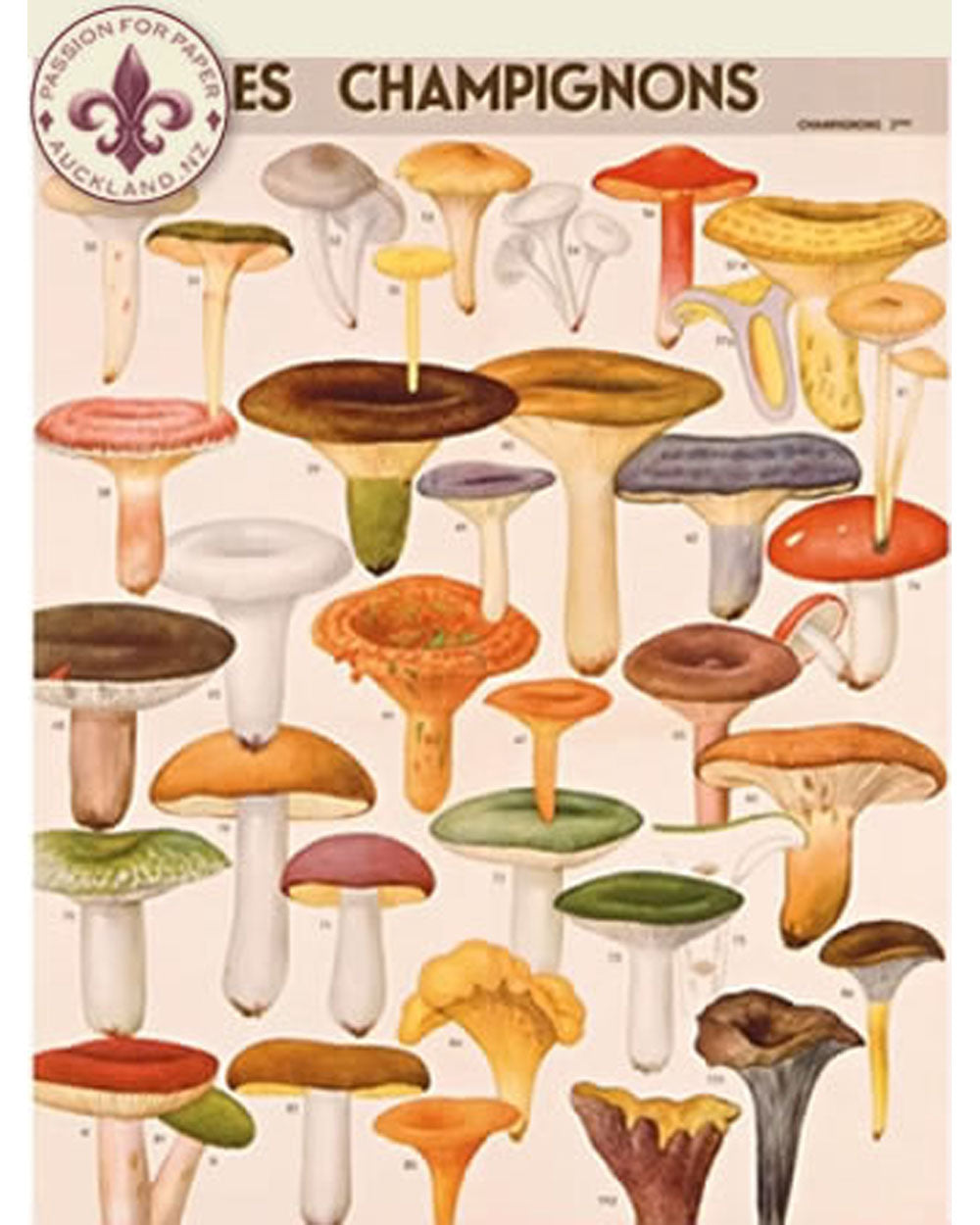 Pouch - Mushrooms