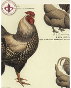 Tea Towel - Chickens & Roosters